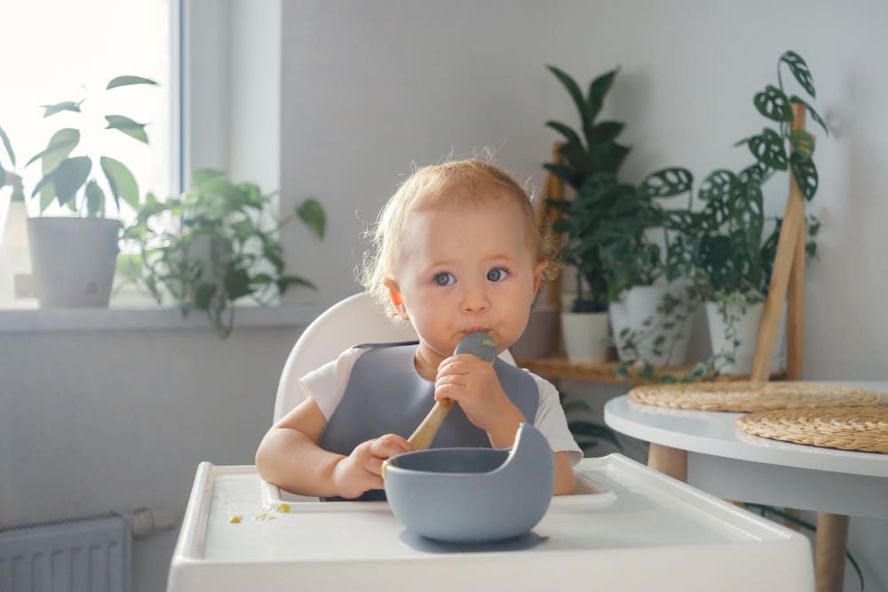 Kako stvoriti stabilan sistem za negu i ishranu bebe?